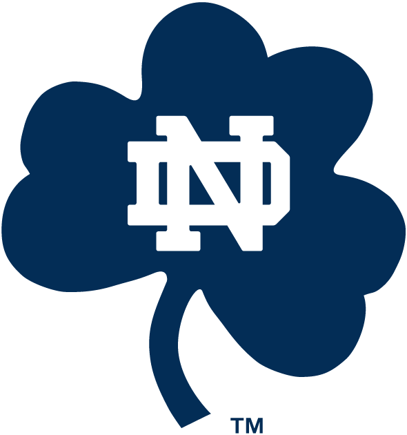Notre Dame Fighting Irish 1994-Pres Alternate Logo t shirts iron on transfers v8